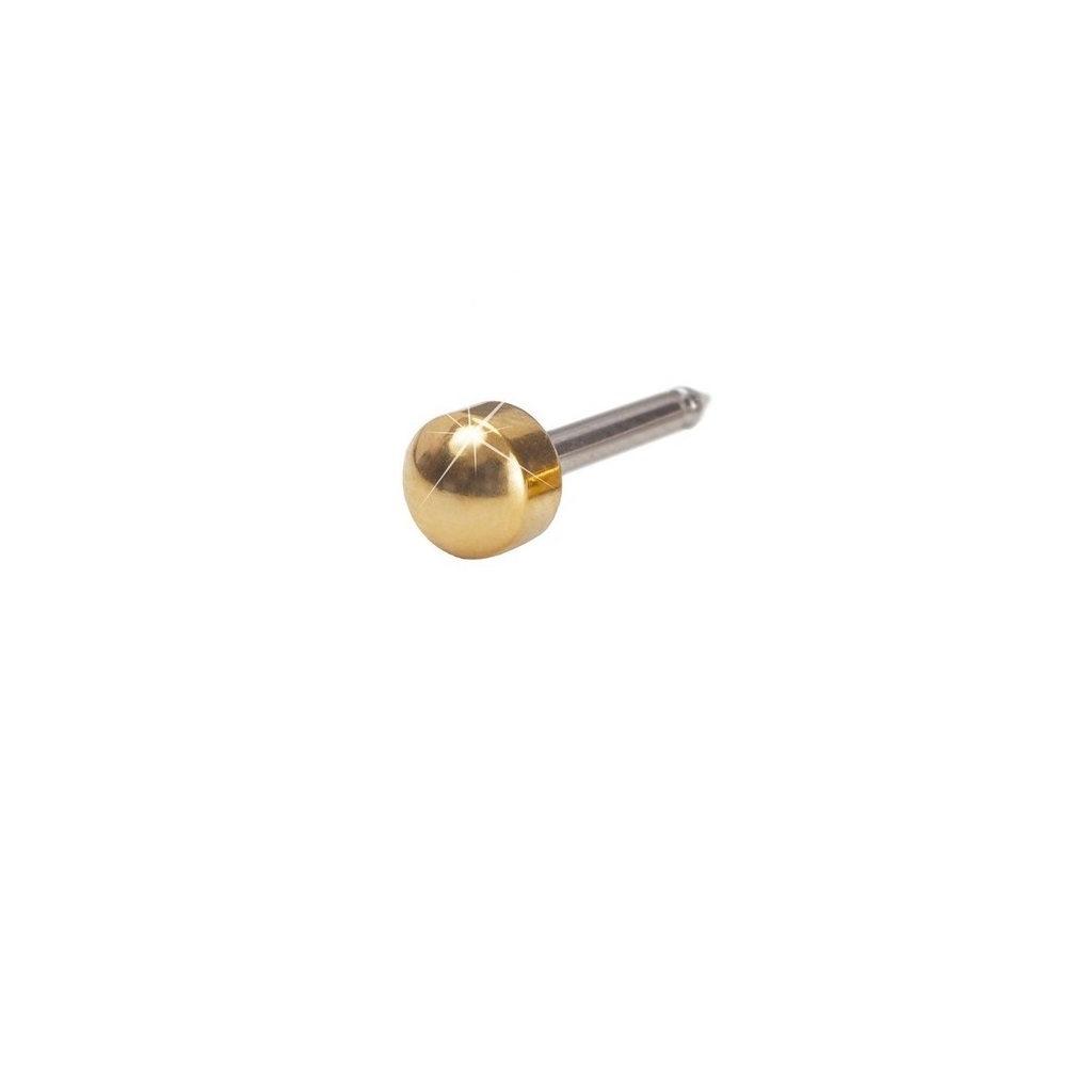 Blomdahl Earring Golden Titanium Plain 4mm 1pc