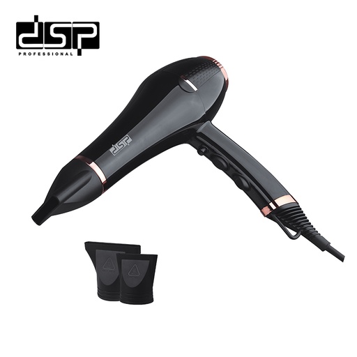 [9513] DSP Hair Dryer 1600Watt