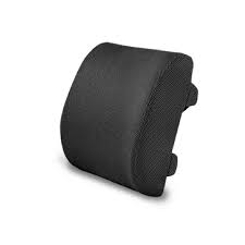 Visco Cy Back Pillow