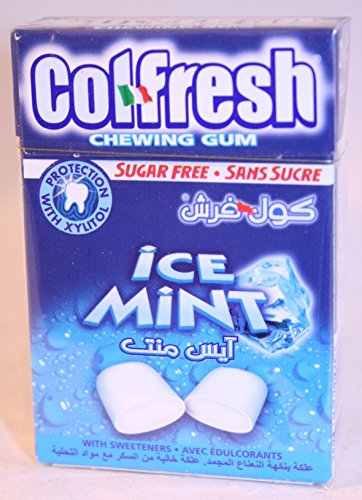 Col-Fresh Ice Mint Chewing Gum 21G #1427