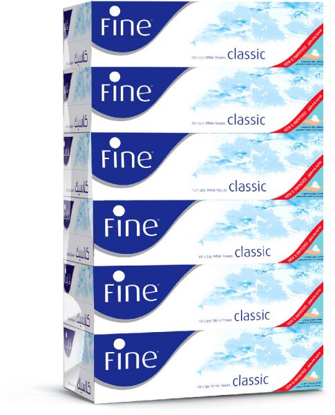 Fine Facial Tissue 300 x 2