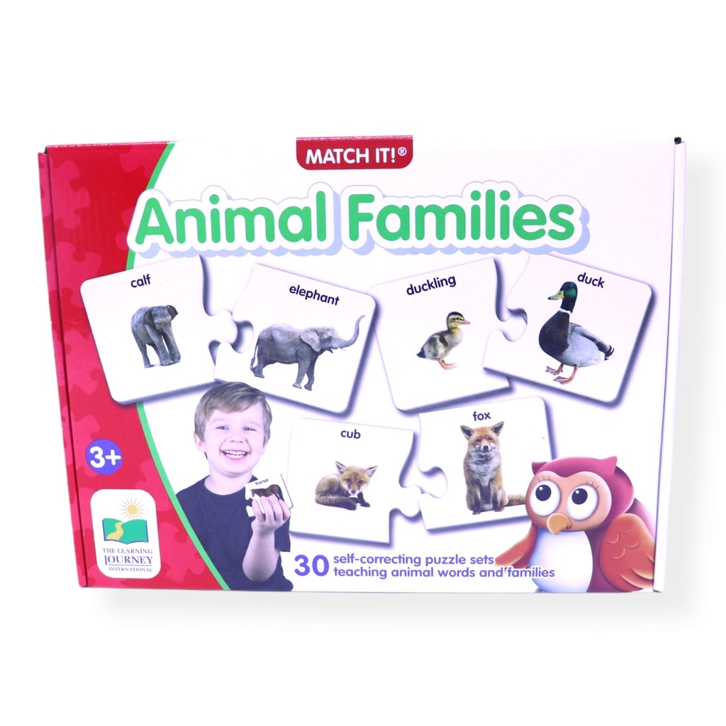 Match It Animal Families