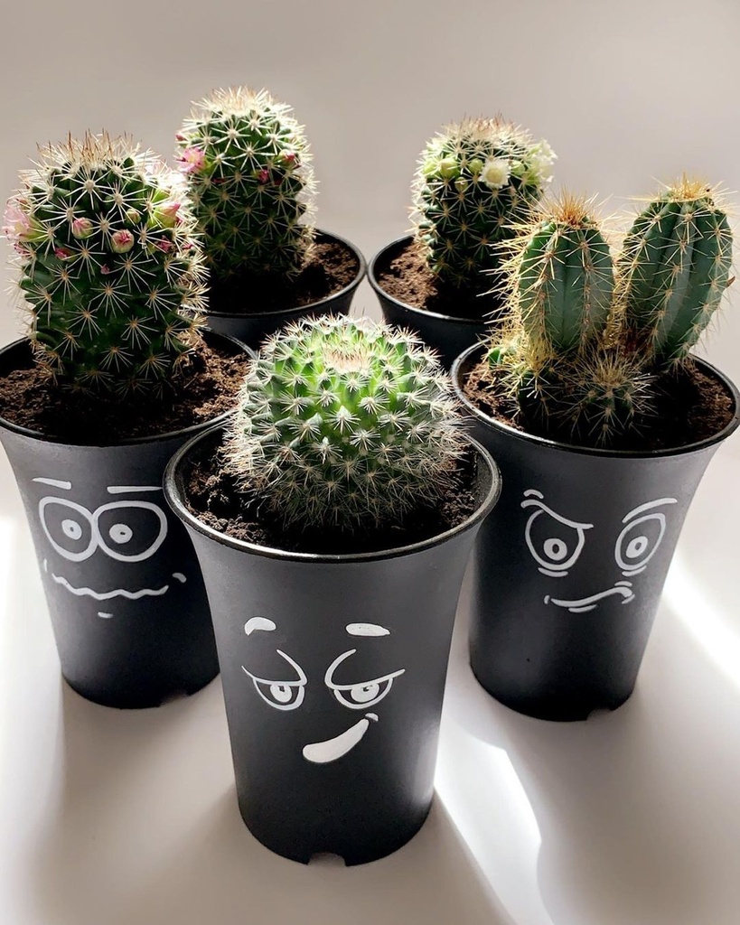 بلاك بيتموجي