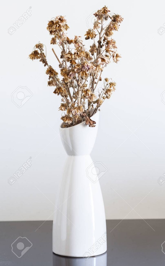 ورد مجفف في فازة بيضاء