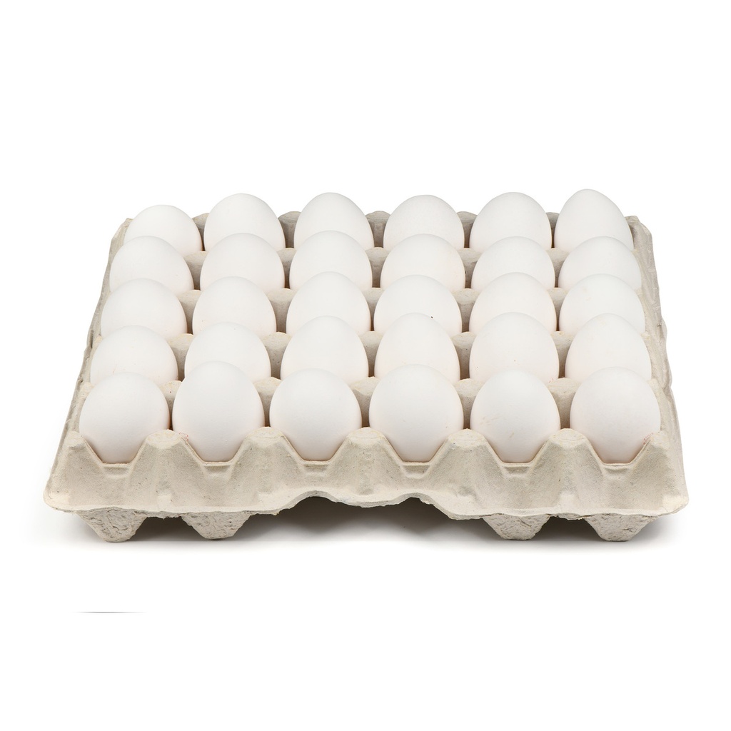 EGG FRESH TURKEY 12*30PC