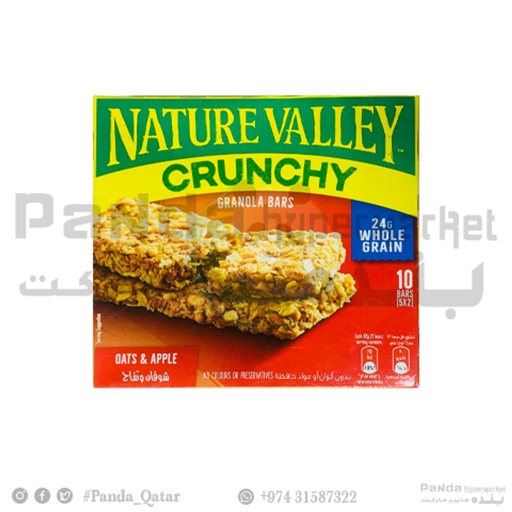 [61080] Nature Valley Oats&amp;Apple42GX5