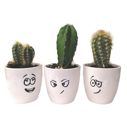 [62732] Mini Bitmoji white Hc2200 (1pc)