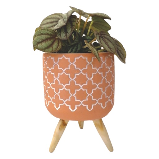 [62734] Pot with apedestal Hc 2400
