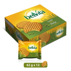 [65801] BELVITA CARDAMOM BISCUIT62gm