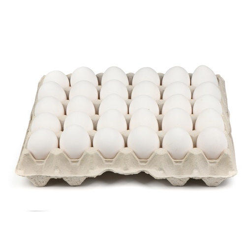 [66426] EGG FRESH TURKEY 12*30PC